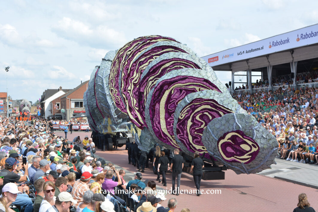 A parade float in the shape of several slices of grey and purple cabbage is pushed through the streets past spectators in grandstands.