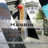 Harbin: The ultimate winter destination for ice and snow enthusiasts