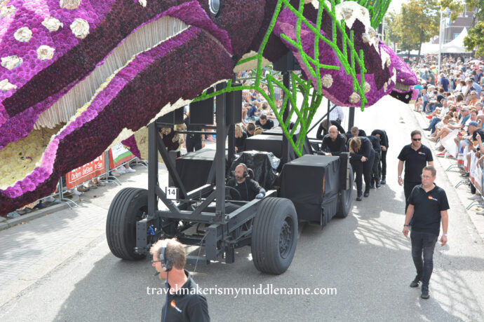 Viewed from the front and right: Close up of the large wheels of a large parade float featuring two purple whales with white bellies in a green net along the street.